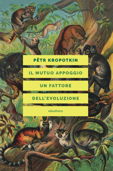 Il mutuo appoggio un fattore dell'evoluzione - cover