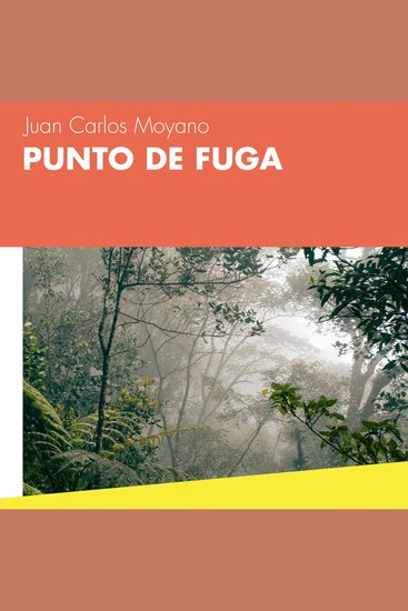 Punto de fuga - cover