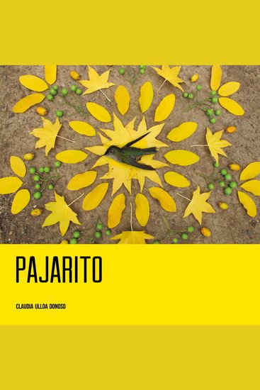 Pajarito - cover