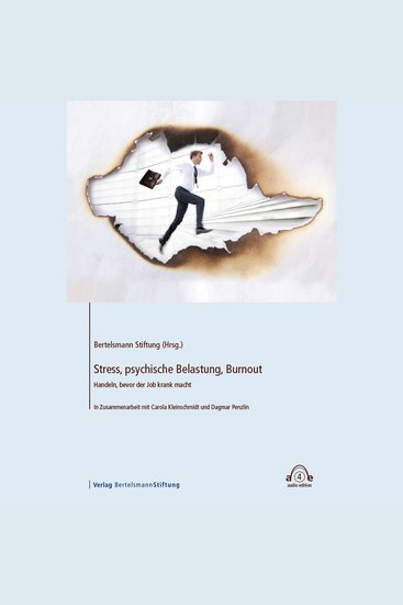 Stress psychische Belastung Burnout - Handeln bevor der Job krank macht - cover