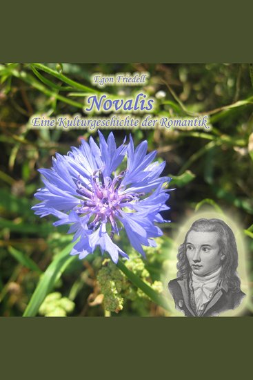 Novalis - Eine Kulturgeschichte der Romantik - cover