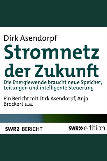Stromnetz der Zukunft - Die Energiewende braucht neue Speicher Leitungen und intelligente Steuerung - cover