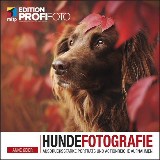 Hundefotografie - Ausdrucksstarke Porträts und actionreiche Aufnahmen - cover