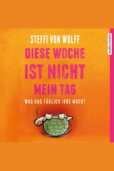 Diese Woche ist nicht mein Tag Was uns täglich irre macht - cover