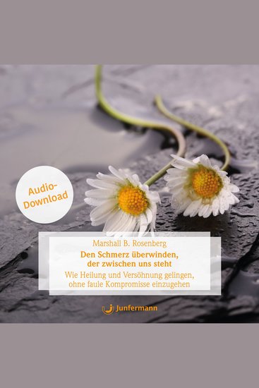 Den Schmerz überwinden der zwischen uns steht - Wie Heilung und Versöhnung gelingen - cover