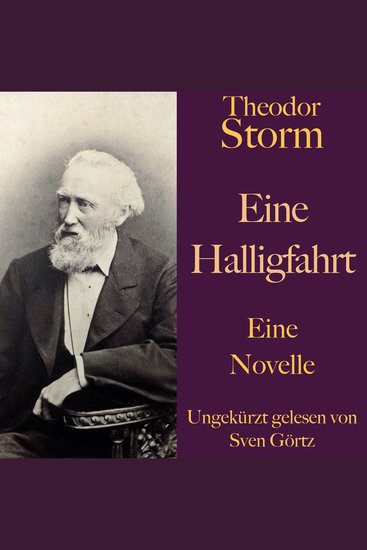 Theodor Storm: Eine Halligfahrt - Eine Novelle Ungekürzt gelesen - cover