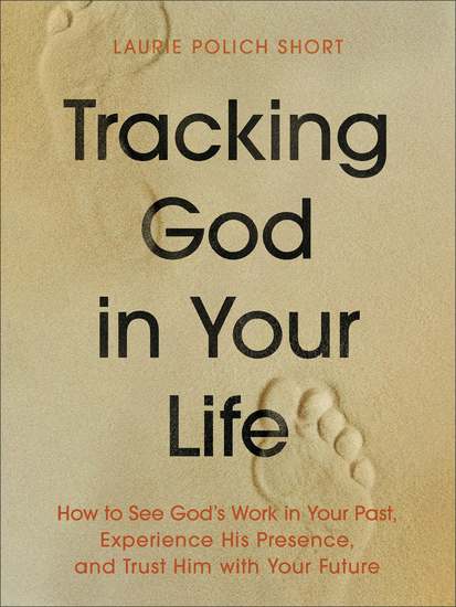 Tracking God in Your Life - How to See God's Work in Your Past Experience His Presence and Trust Him with Your Future - cover