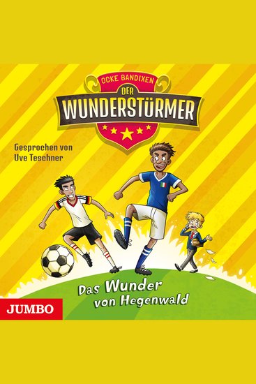 Der Wunderstürmer Das Wunder von Hegenwald [Band 6] - cover