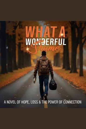 What a wonderful shame - a novel of hope loss & the power of connection - cover