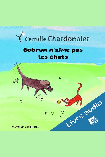 Bobrun n'aime pas les chats - cover