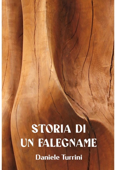 Storia di un falegname - cover