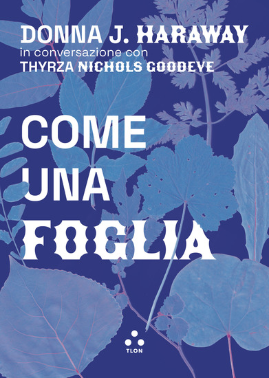Come una foglia - cover
