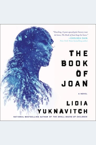 The Book of Joan - A Novel - cover