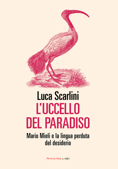 L'uccello del paradiso - cover