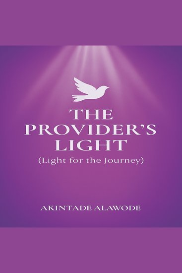The Provider's Light - Light for the Journey - cover