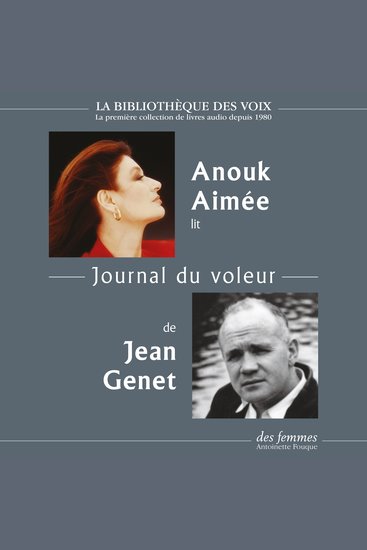 Journal du voleur - cover
