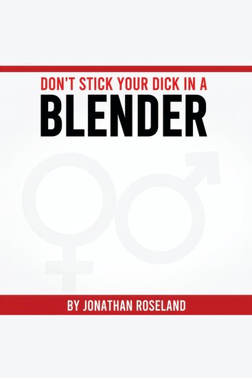 Don't Stick Your Dick in a Blender - How to meet a nice girl instead - from a tantric husband with a better sex life than you! - cover