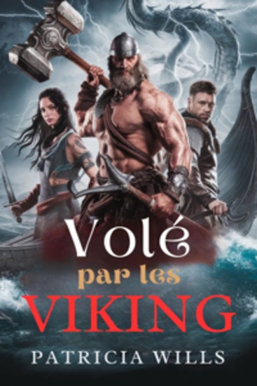 Volé par les Vikings - Une romance sombre avec des guerriers nordiques - cover