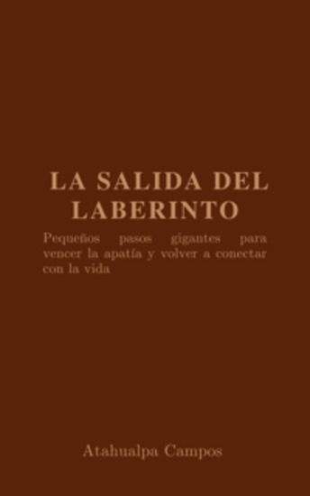 La salida del laberinto - Pequeños pasos gigantes para vencer la apatía y volver a conectarse con la vida - cover