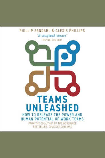Teams Unleashed - How to Release the Power and Human Potential of Work Teams - cover