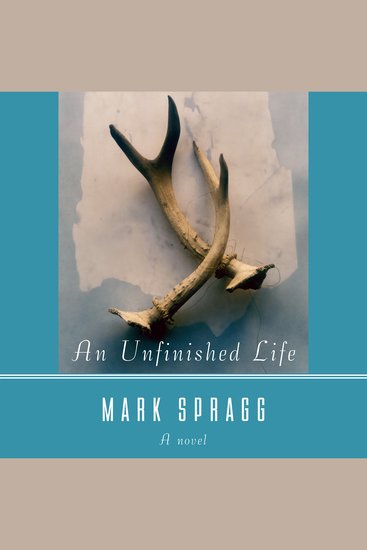 Unfinished Life An - cover