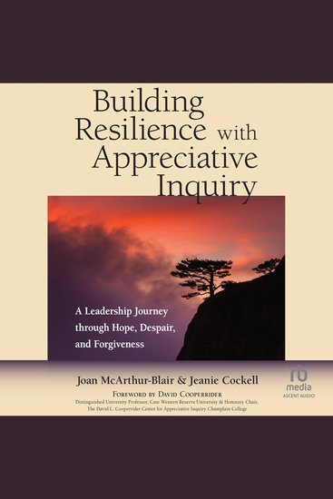 Building Resilience with Appreciative Inquiry - ALeadership Journey through Hope Despair and Forgiveness - cover