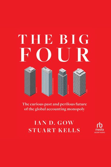 The Big Four - The Curious Past and Perilous Future of the Global Accounting Monopoly - cover