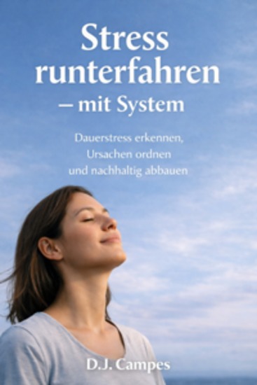 Stress runterfahren – mit System - Dauerstress erkennen Ursachen ordnen und nachhaltig abbauen - cover