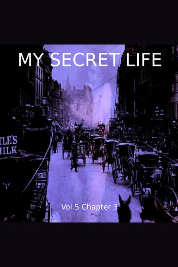 My Secret Life Vol 5 Chapter 3 - cover