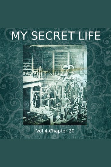 My Secret Life Vol 4 Chapter 20 - cover