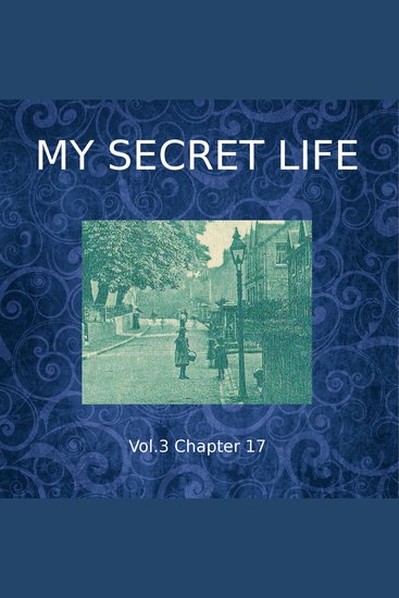 My Secret Life Vol 3 Chapter 17 - cover