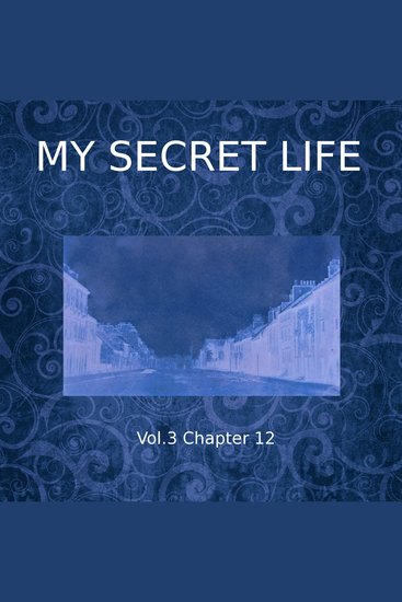 My Secret Life Vol 3 Chapter 12 - cover