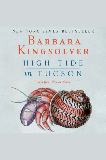 High Tide in Tucson - Essays from Now or Never - cover