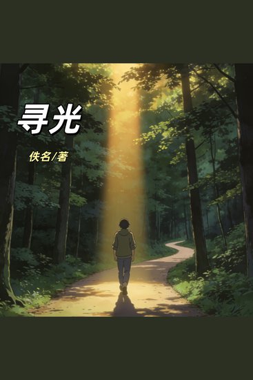 寻光 - 少年穿越异世界寻找蜻蜓 - cover