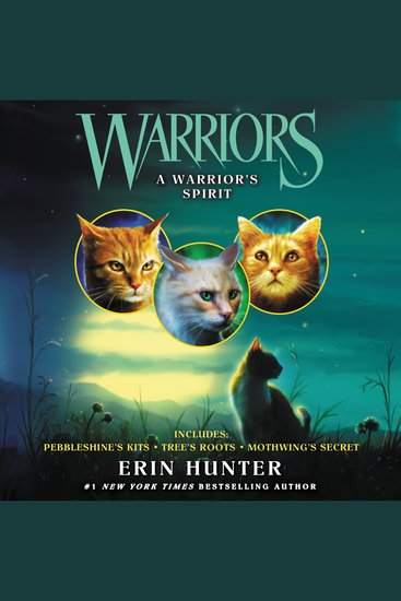 Warriors - cover