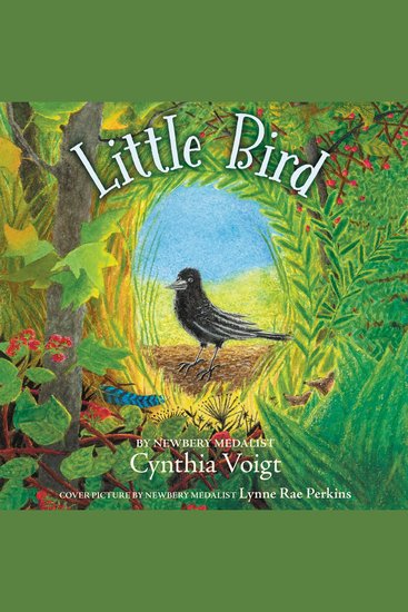 Little Bird - cover