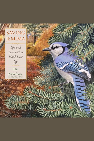 Saving Jemima - Life and Love with a Hard-Luck Jay - cover