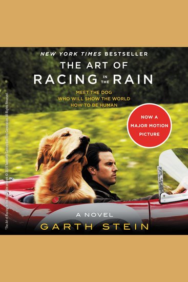 The Art of Racing in the Rain - cover