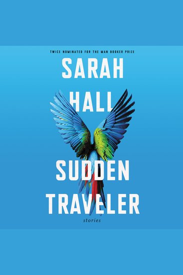 Sudden Traveler - Stories - cover