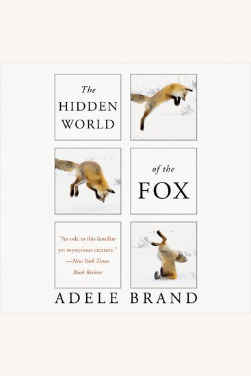The Hidden World of the Fox - cover