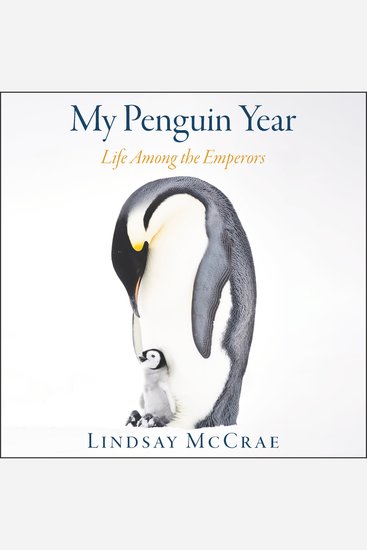 My Penguin Year - Life Among the Emperors - cover