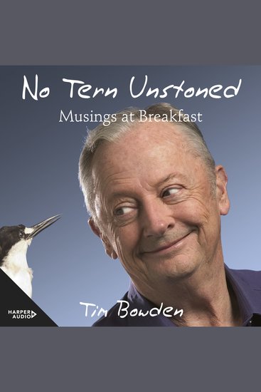 No Tern Unstoned - cover