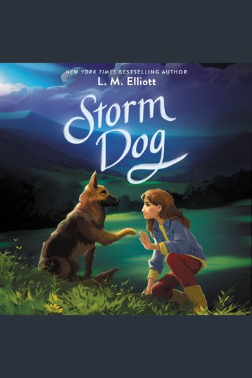 Storm Dog - cover