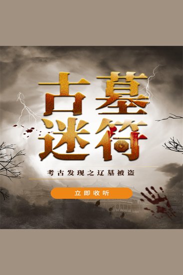 古墓迷符 - cover