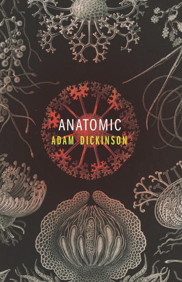 Anatomic - cover