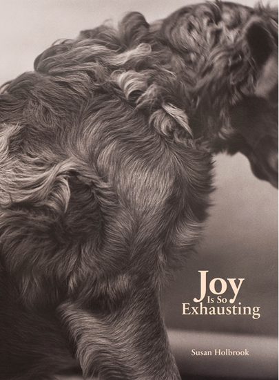 Joy Is So Exhausting - cover
