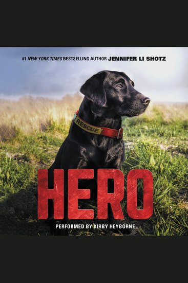 Hero - cover