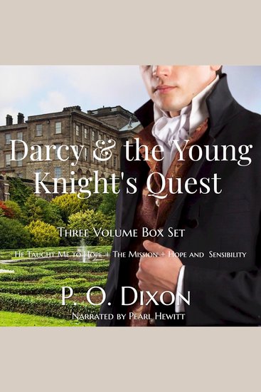 Darcy and the Young Knight's Quest - cover