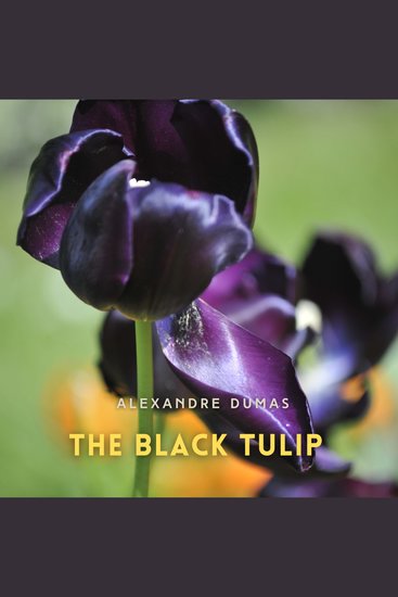 The Black Tulip - cover