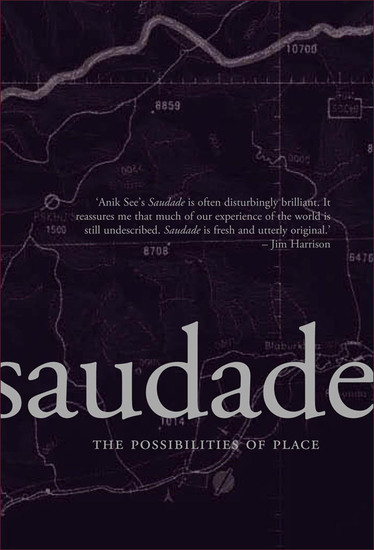 Saudade - The Possibilities of Place - cover